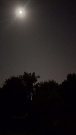 Picture for vendor hebah