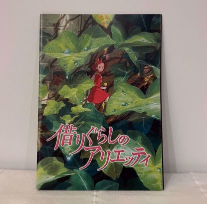 صورة مجلة آريتي المقترضه.   