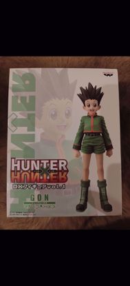 Picture of Gon