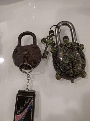 صورة قفلين مع مفاتيحهم