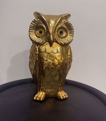 Picture of ‎ دلو ثلج على شكل بومة من علامة فريدّوثيرم