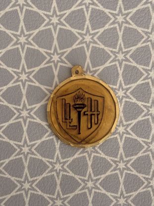 Picture of ميدالية لا أعلم عنها شيء