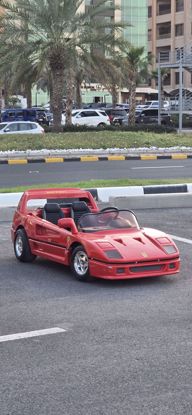 صورة TT Toys Ferrari F40 Electric

